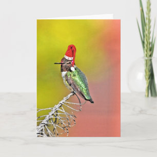 Ho Ho Ho Humm Holiday Card