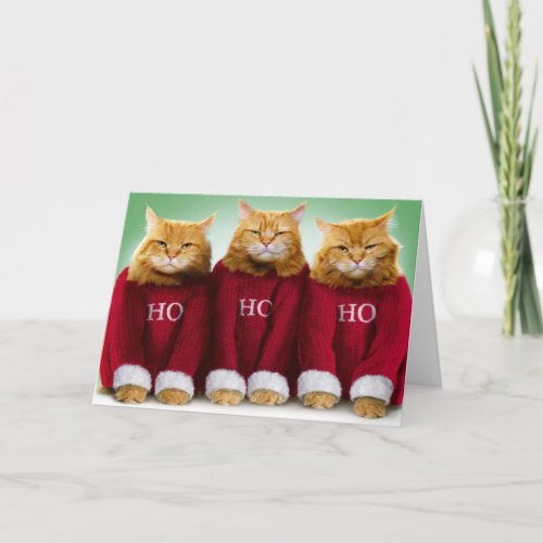 Ho Ho Ho Three Cats Merry Christmas Greeting Card