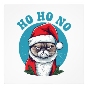 Ho ho no - funny grumpy santa cat photo print