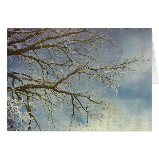 Hoar Frost, Happy New Year! Cards (Front Horizontal)