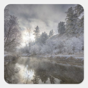 Hoarfrost along a slough at the Kelly Island Square Sticker