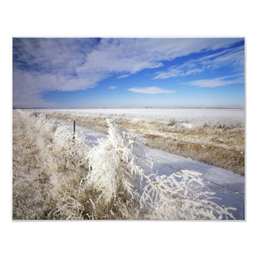 Hoarfrost coats tumbleweed and fenceline near photo print