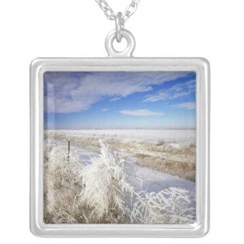 Hoarfrost coats tumbleweed and fenceline near silver plated necklace