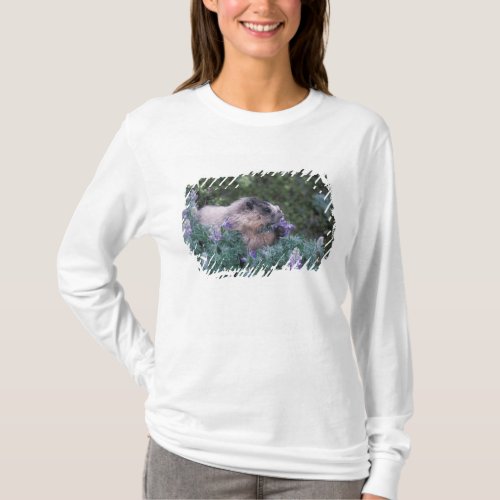 Hoary marmot feeding on silky lupine Exit T_Shirt