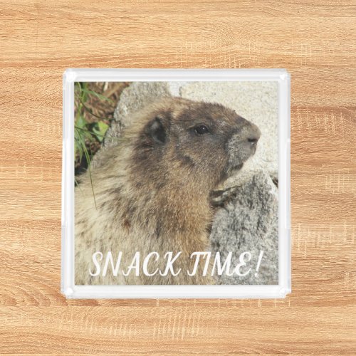 Hoary Marmot Photo Snack Time Acrylic Tray