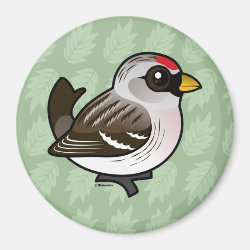 Hoary Redpoll Round Magnet