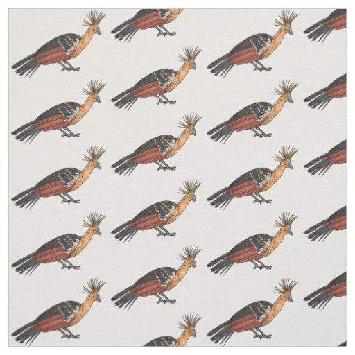 Hoatzin bird cartoon illustration  fabric