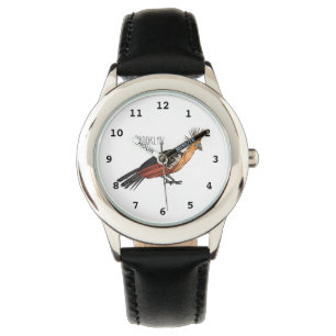 Hoatzin bird cartoon illustration  watch