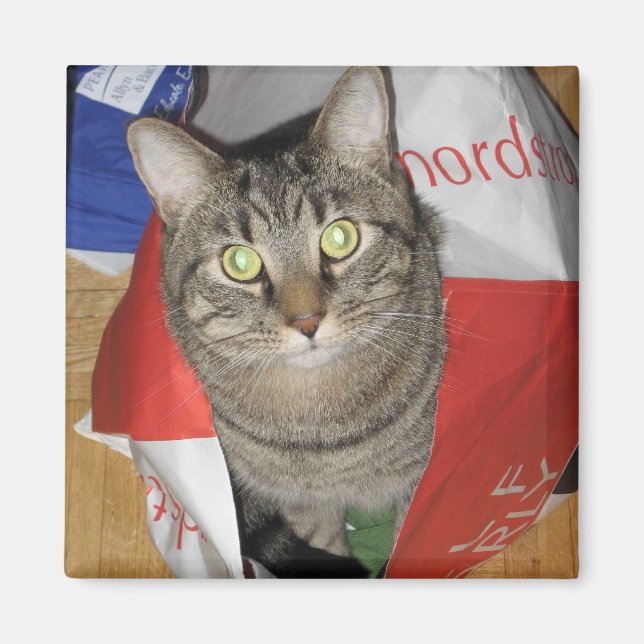 Hobbes Magnet (Front)