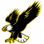 Hobbs Eagles Pin Statuette<br><div class="desc">Gold and black Hobbs Eagles acrylic pin featuring cut-out eagle with metal pin-back.</div>