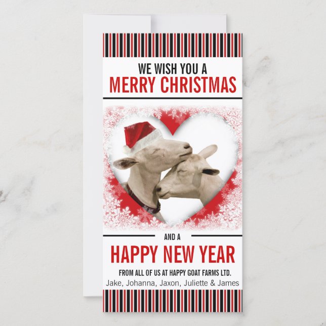 Hobby or Goat Farm Christmas Holiday Card (Front)
