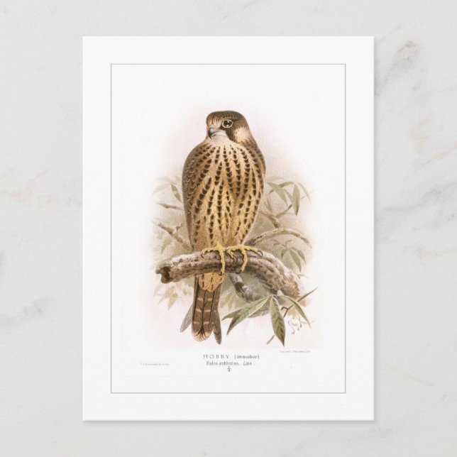 Hobby Postcard (Front)