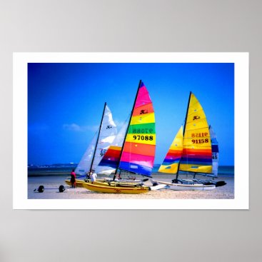 HOBIE CATS IN JERSEY POSTER
