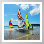 Hobie sailing boats in Jersey Poster<br><div class="desc">Sailing boats by Helen A. Lisher.</div>