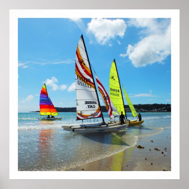 Hobie sailing boats in Jersey Poster (Front)