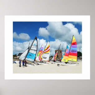 Hobies on the beach poster