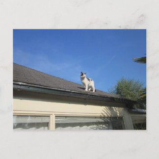 Hoch hinaus postcard