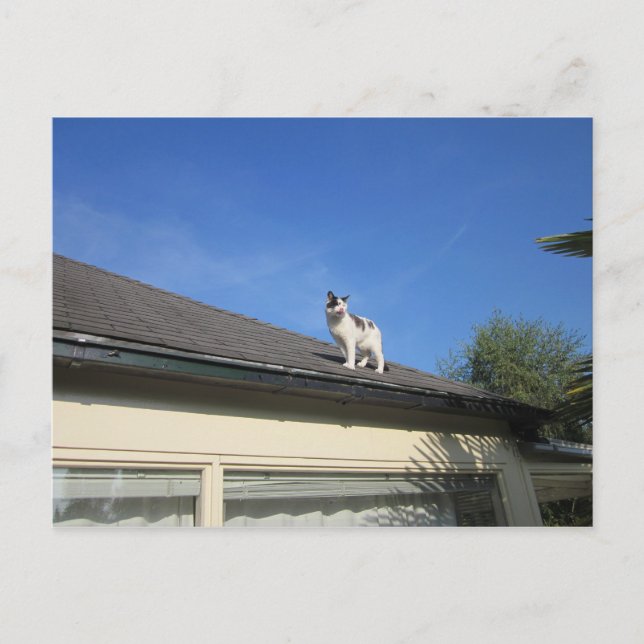 Hoch hinaus postcard (Front)