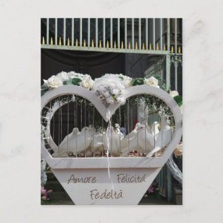 Hochzeits Tauben warten auf das Brautpaar Postcard