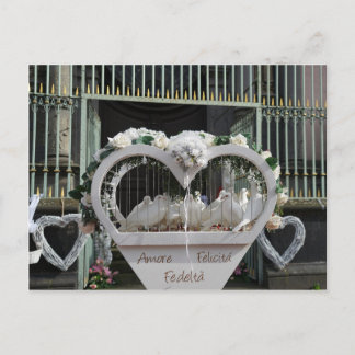 Hochzeits Tauben warten auf das Brautpaar Postcard