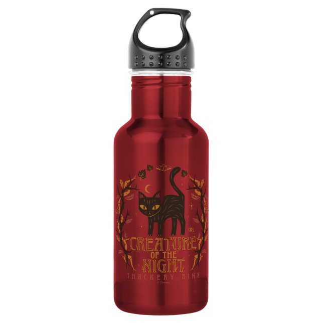 Hocus Pocus Thackery Binx Night Magic Stainless Steel Water Bottle (Front)