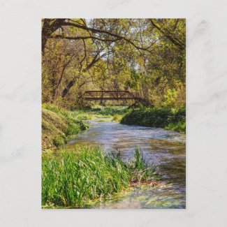 Hodgson Spring Flow Postcard