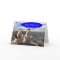 HOEDOWN IN PRAIRIE DOG TOWN BIRTHDAY CARD