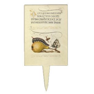 Hoefnagel Vintage Pear & Insects 1500s Renaissance Cake Topper