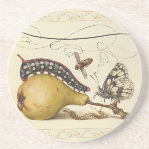 Hoefnagel Vintage Pear & Insects 1500s Renaissance Coaster