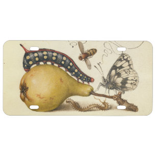 Hoefnagel Vintage Pear & Insects 1500s Renaissance License Plate