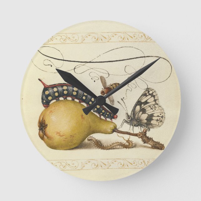Hoefnagel Vintage Pear & Insects 1500s Renaissance Round Clock (Front)