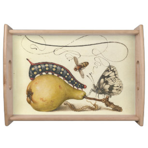 Hoefnagel Vintage Pear & Insects 1500s Renaissance Serving Tray