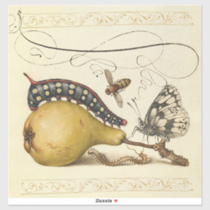 Hoefnagel Vintage Pear & Insects 1500s Renaissance Sticker