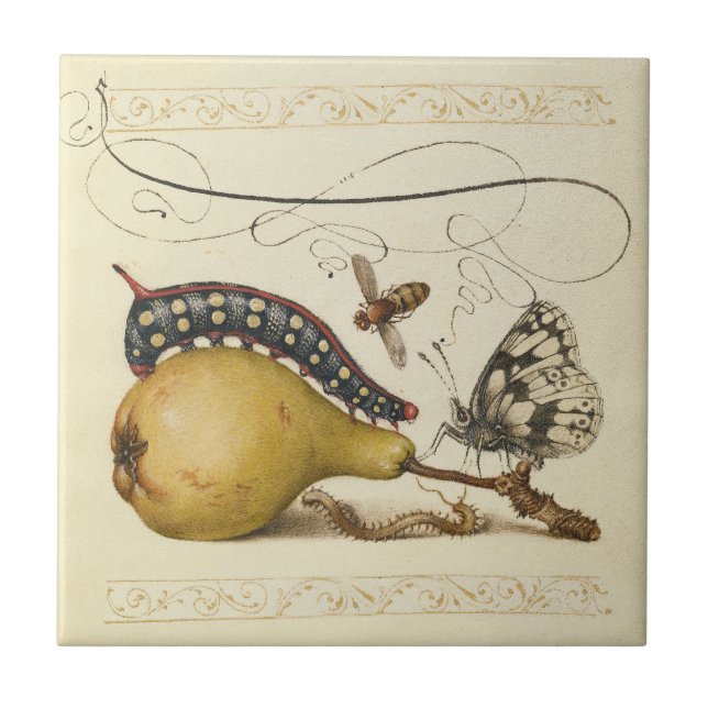 Hoefnagel Vintage Pear & Insects 1500s Renaissance Tile (Front)