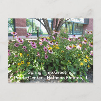 Hoffman Estates, Illinois Prarie Center Greeting P Postcard
