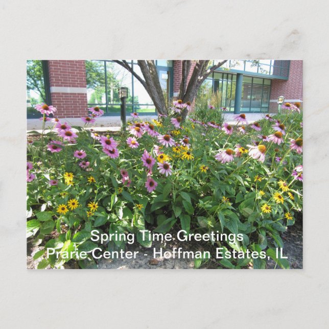 Hoffman Estates, Illinois Prarie Center Greeting P Postcard (Front)