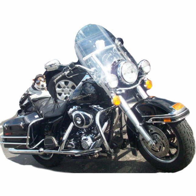 Hog Dog Photo Statuette (Front)