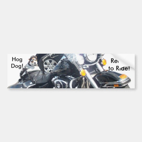 Hog Dog _ Ready to Ride Bumper Sticker