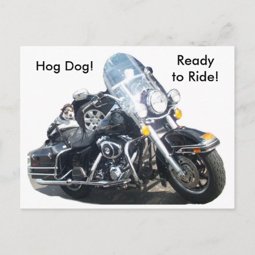 Hog Dog _ Ready to Ride Postcard