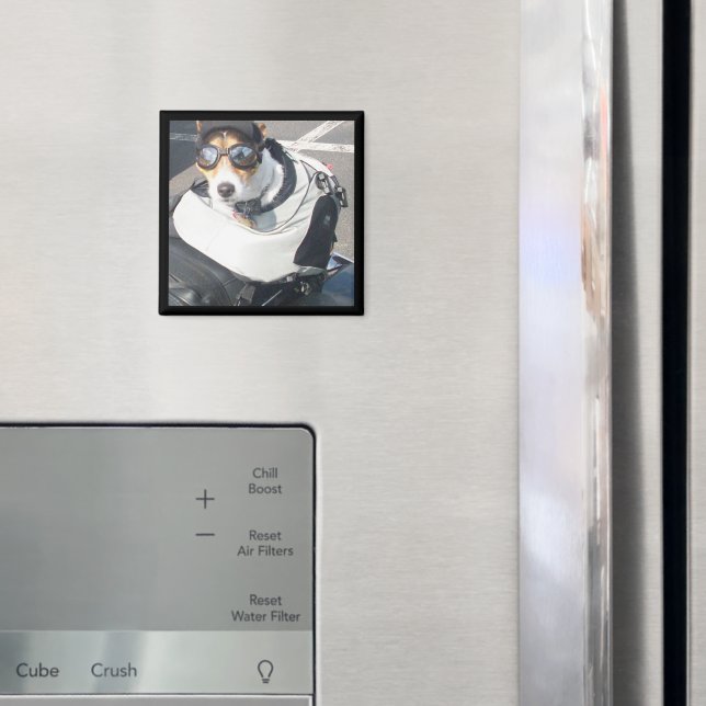 Hog Dog Refrigerator Magnet (In Situ (Fridge))