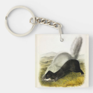 Hog-nosed Skunk (Texan Skunk) Audubon's Quadrupeds Keychain
