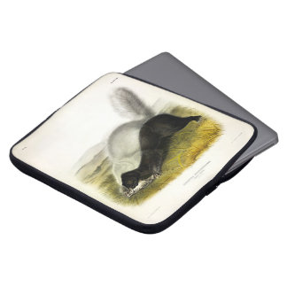 Hog-nosed Skunk (Texan Skunk) Audubon's Quadrupeds Laptop Sleeve