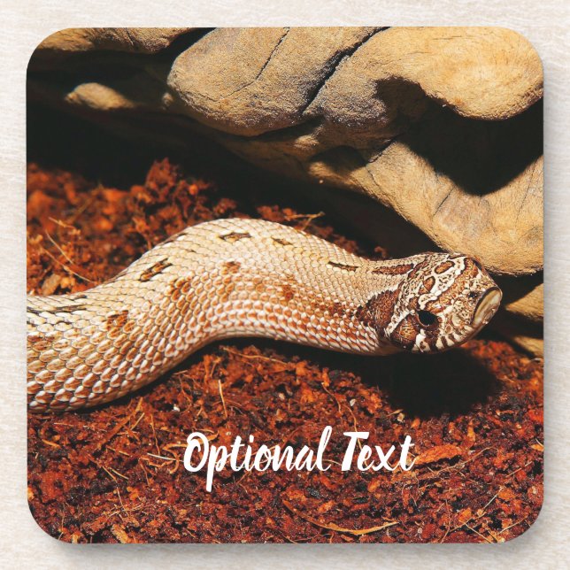 Hognose Pet Snake Beverage Coaster (Front)