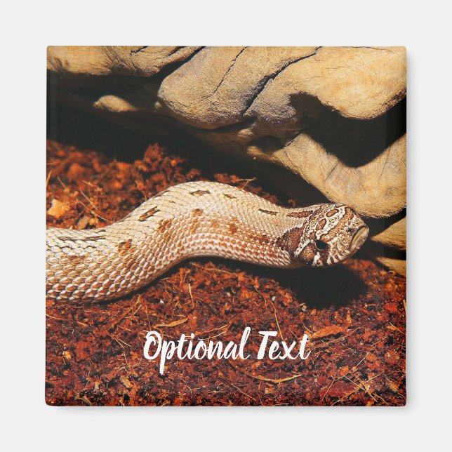 Hognose Pet Snake Magnet (Front)