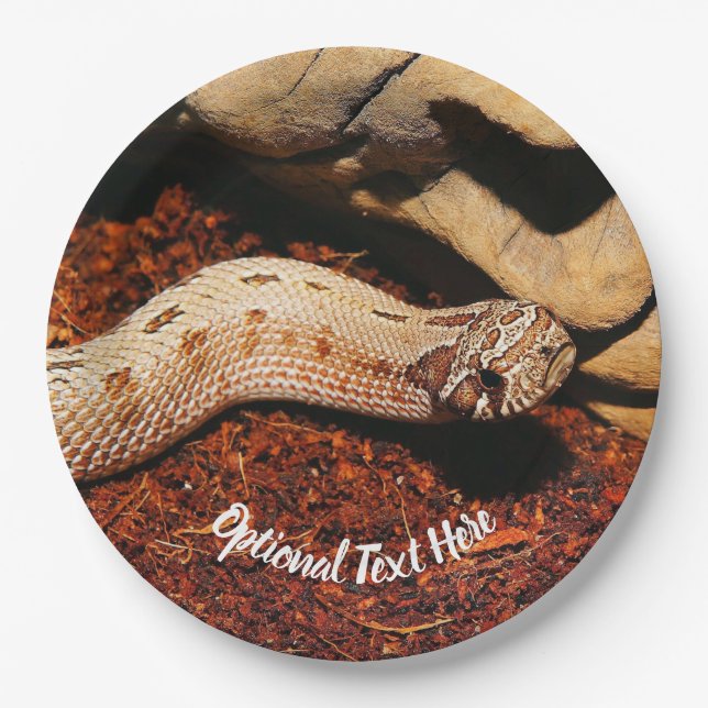 Hognose Pet Snake Paper Plates (Front)