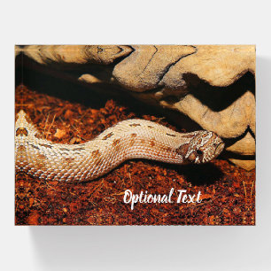 Hognose Pet Snake Paperweight