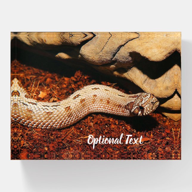 Hognose Pet Snake Paperweight (Front)