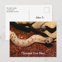 Hognose Pet Snake