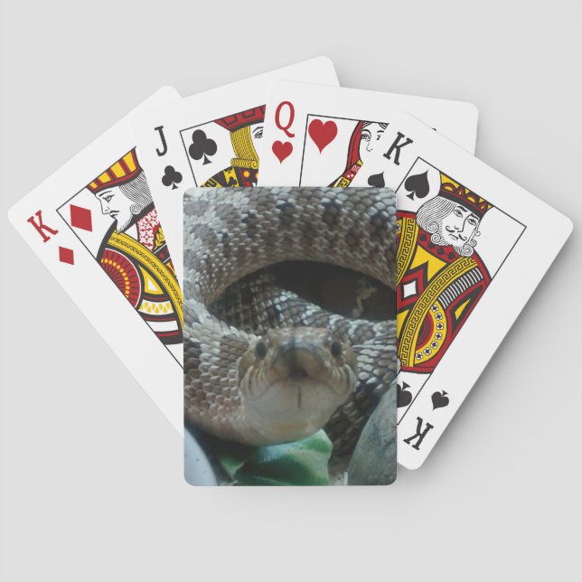 Hognose Playing Cards (Back)