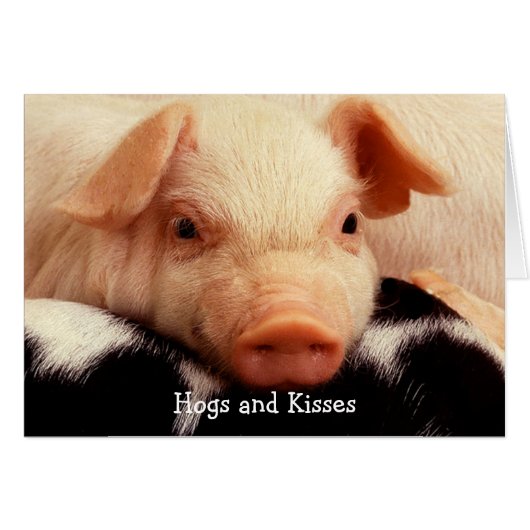 Hogs and Kisses Cards (Front Horizontal)